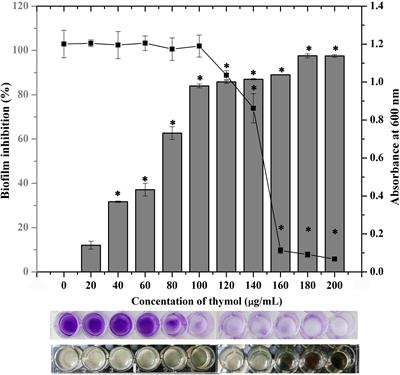 sarA-Dependent Antibiofilm Activity of Thymol Enhances the Antibacterial Efficacy of Rifampicin Against Staphylococcus aureus